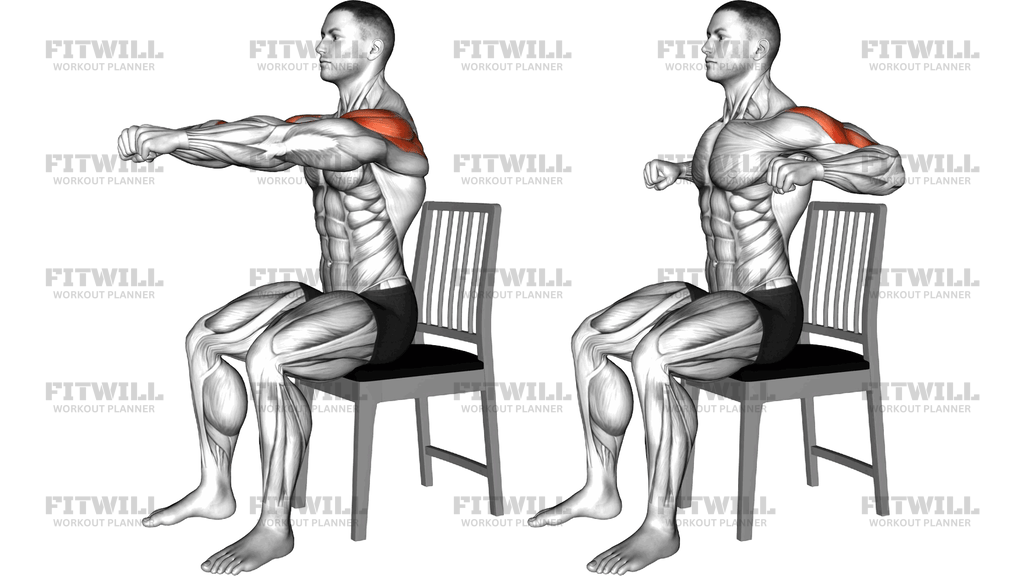 Seated Row On A Chair