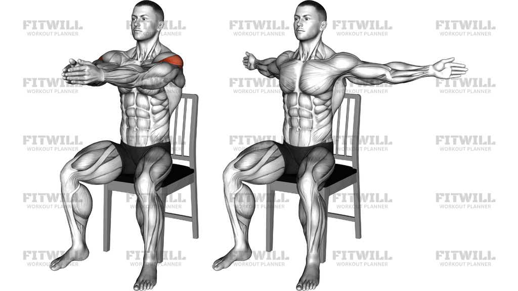 Seated Reverse Fly On Chair