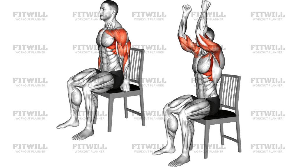 Seated Curl To Shoulders Press On Chair