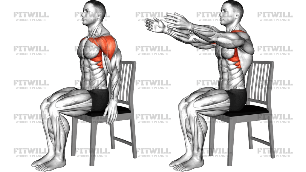 Seated Front Raise On Chair