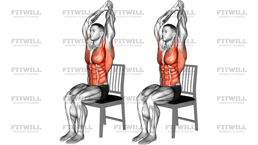 Seated Boat Row On Chair