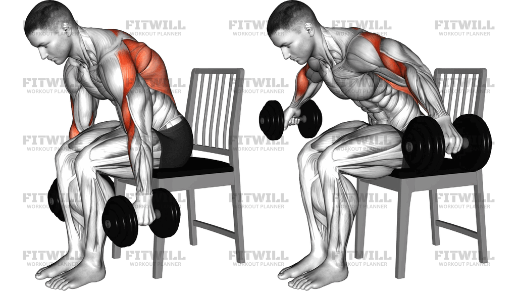 Dumbbell Seated Bent Over Row And Fly On Chair