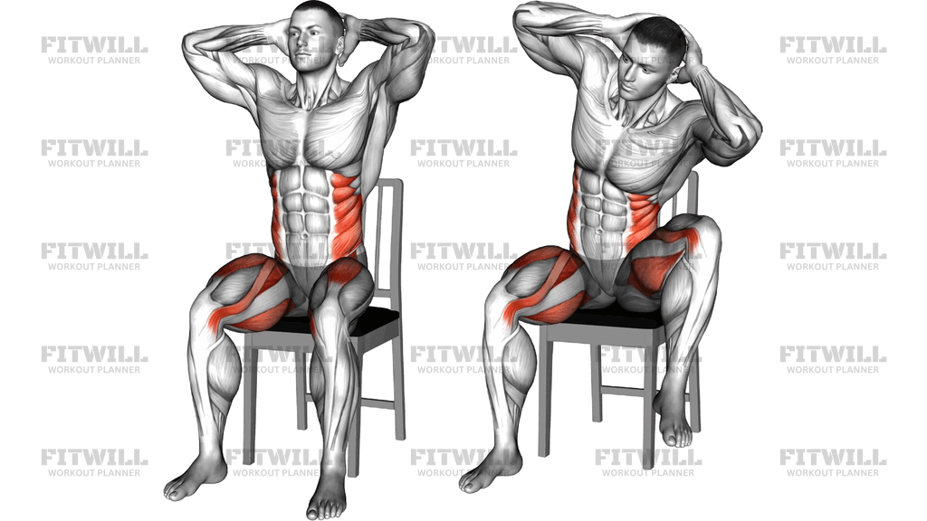 Seated Side Crunch Elbow To Knee On Chair
