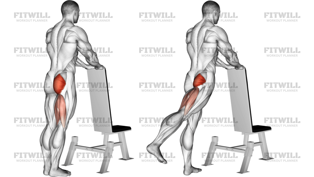 One Leg Kickback With Bench Support