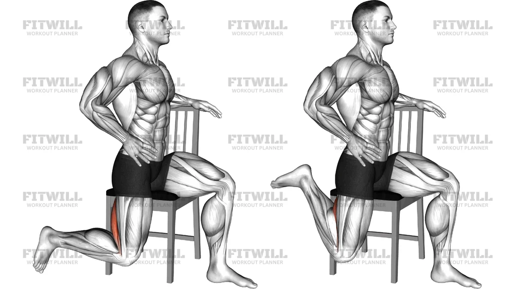 Seated Single Leg Curl On Chair