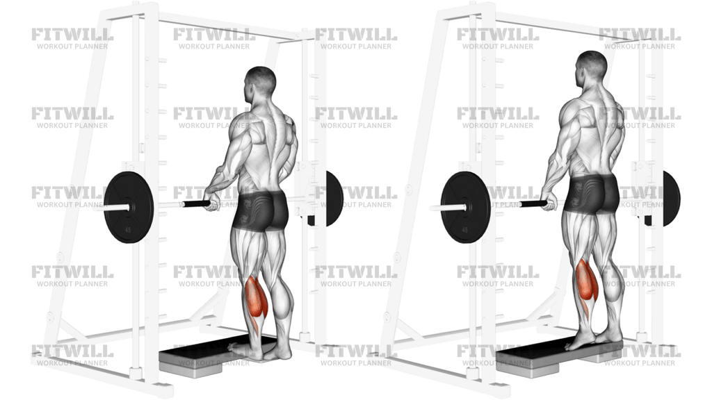 Smith Calf Raise With Block