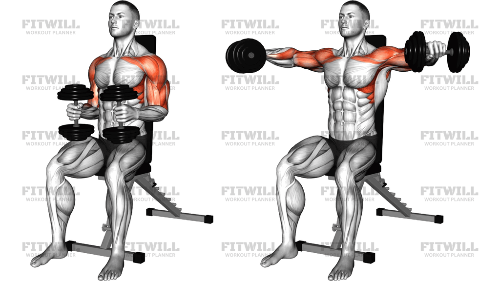 Dumbbell Seated Bent Arm Lateral Raise To Triceps