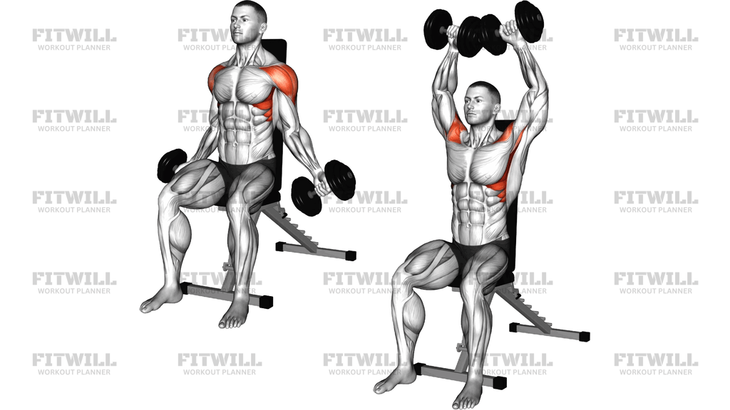 Dumbbell Seated Around The World