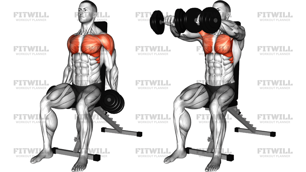 Dumbbell Seated Half Circle Front Raise