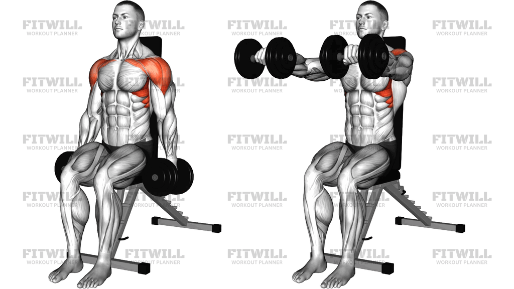 Dumbbell Seated Front Raise With Twist