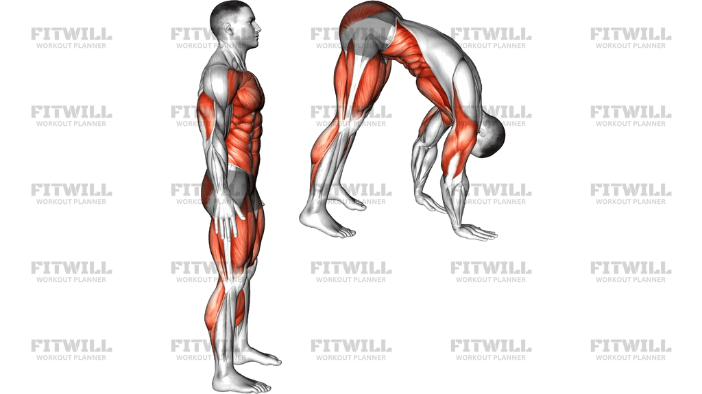 Walkout To Push Up