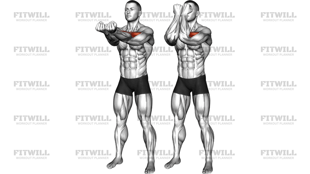 Standing United Biceps Curl