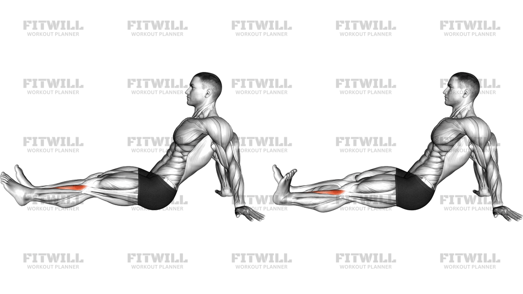 Seated Single Leg Tibialis Press