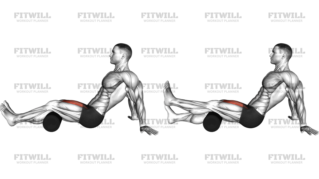 Seated Single Leg Knee Extension