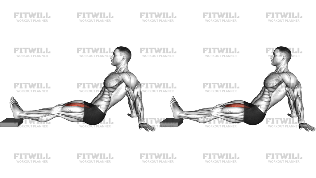 Seated Single Leg Knee Extension (Version 2)