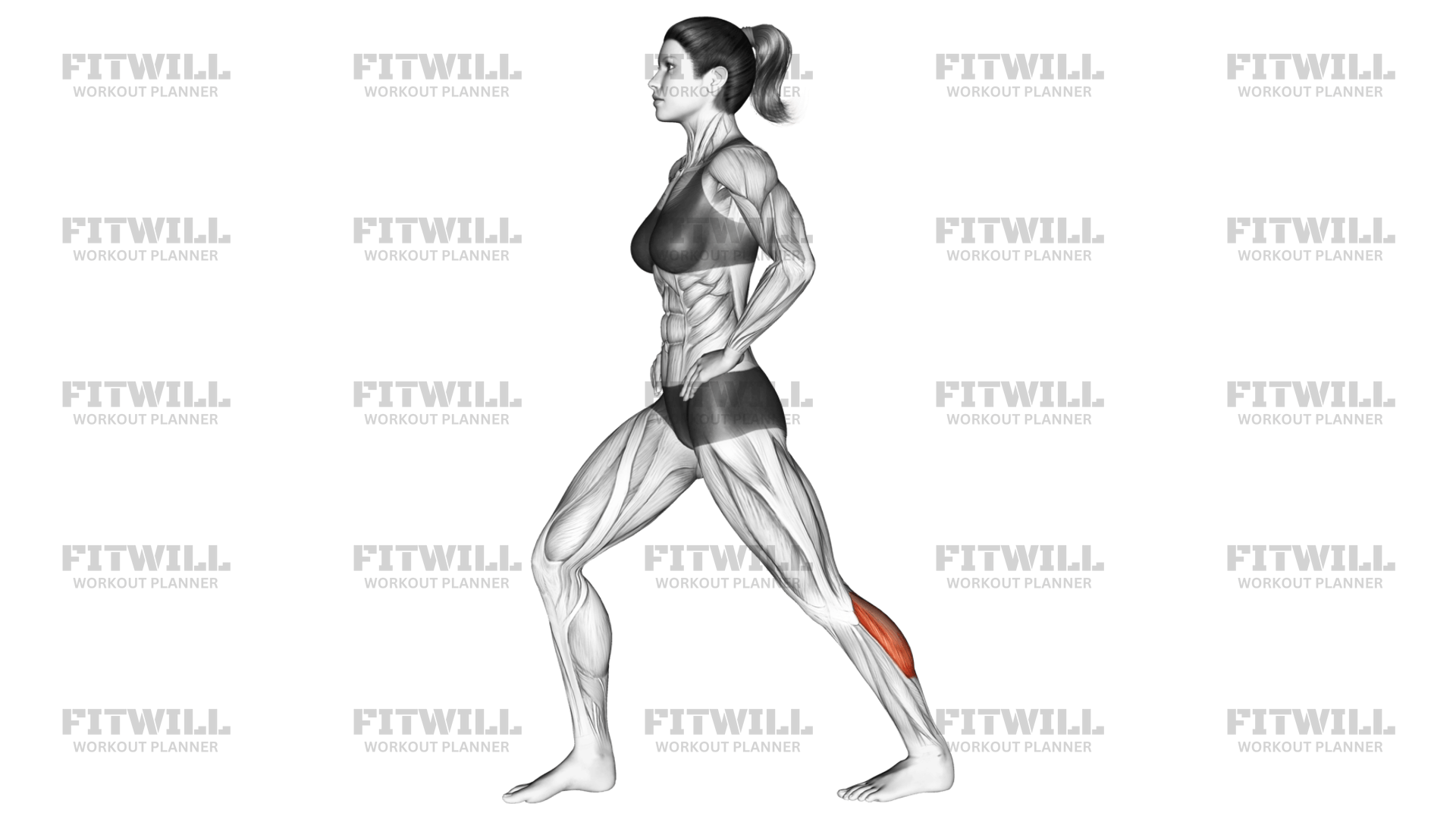 Straight leg calf stretch hotsell