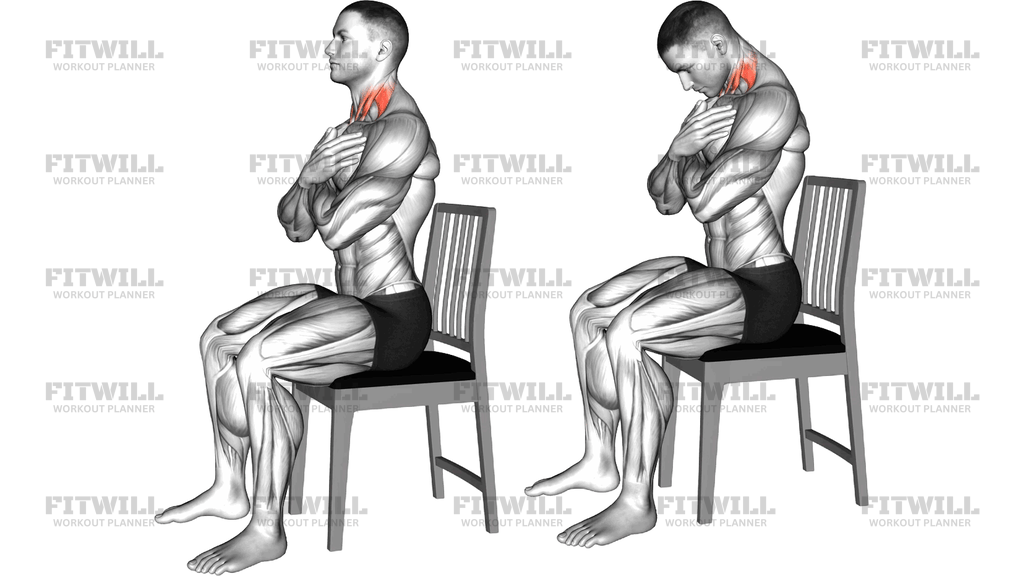 Seated Neck Flexion To Extension On Chair