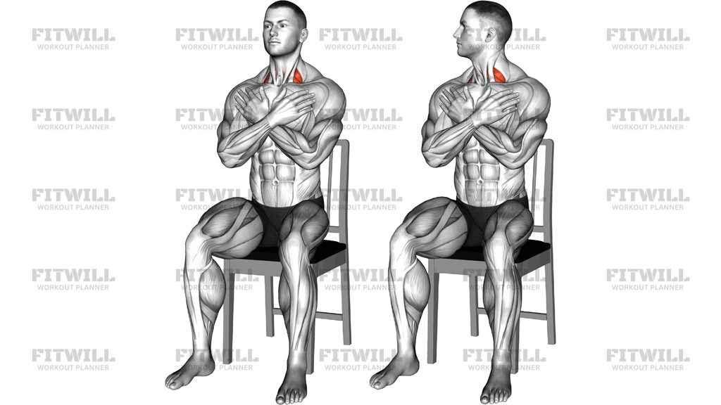 Seated Side To Side Neck Twist On Chair