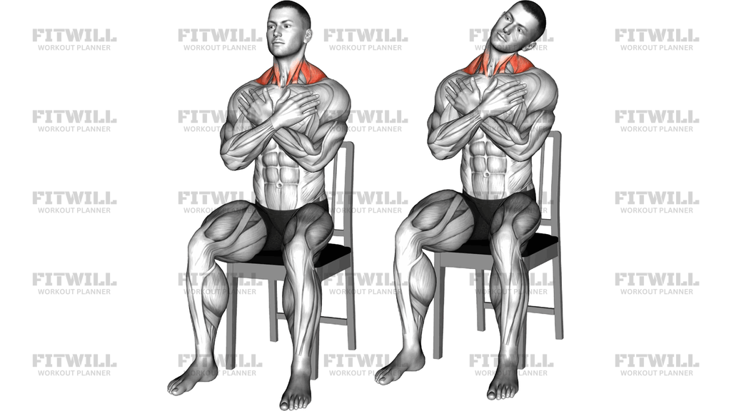 Seated Side To Side Neck Bend On Chair