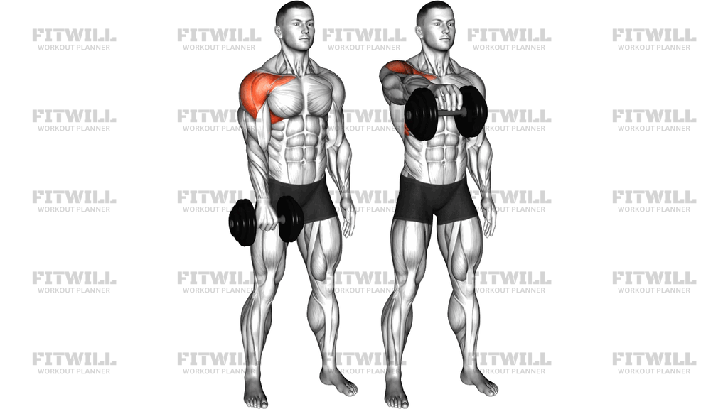 Dumbbell Full Front Raise Catch