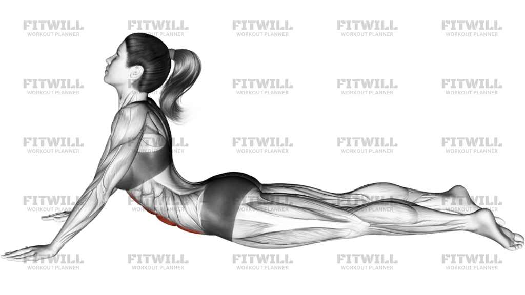 Lying Prone Abdominal Stretch