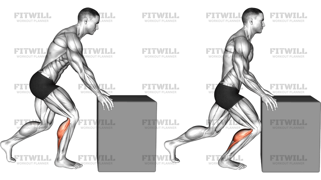 Knee To Box Calf Stretch