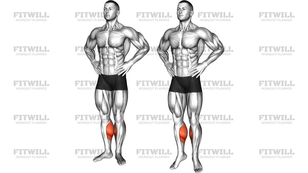 Bodyweight Standing Inside Calf Raise
