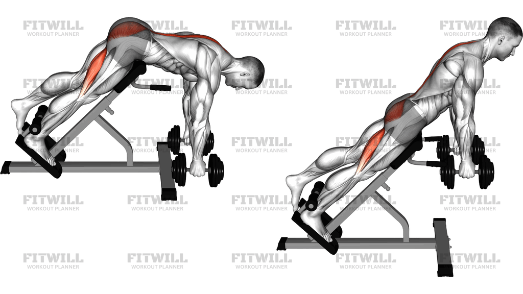 Hyperextension Med Håndvægt På Ét Ben (Version 2)