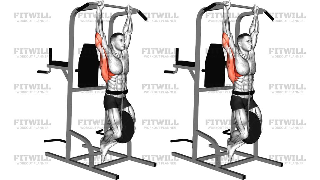 Weighted Dead Hang