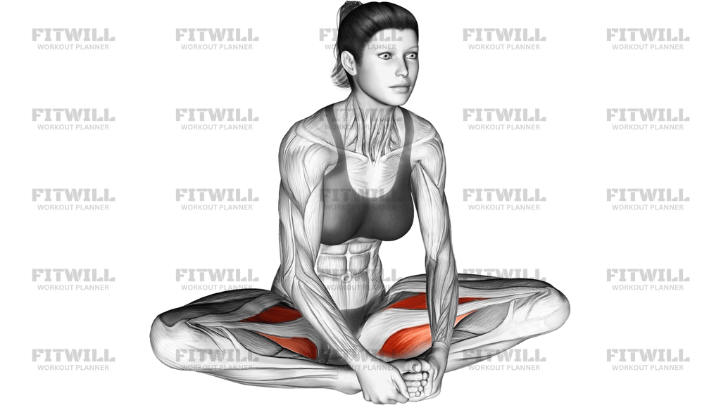 Seated Groin Stretch