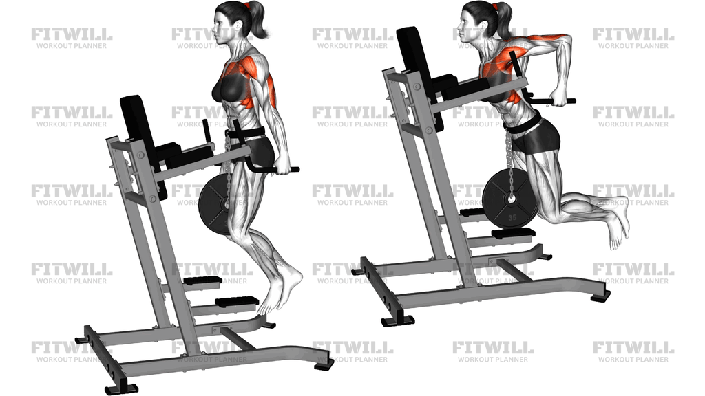 Weighted Tricep Dips
