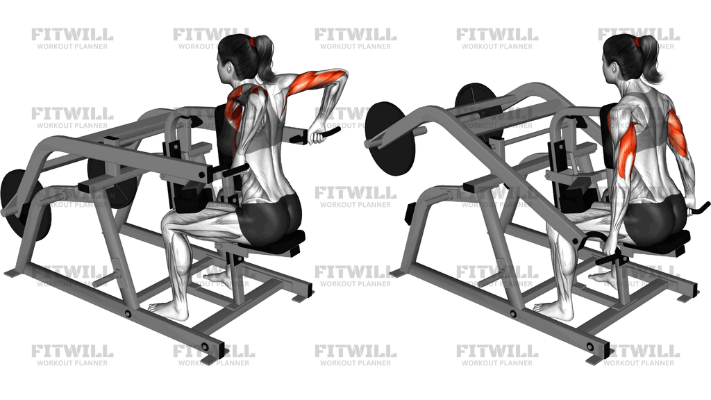 Lever Triceps Dip (Plate Loaded)