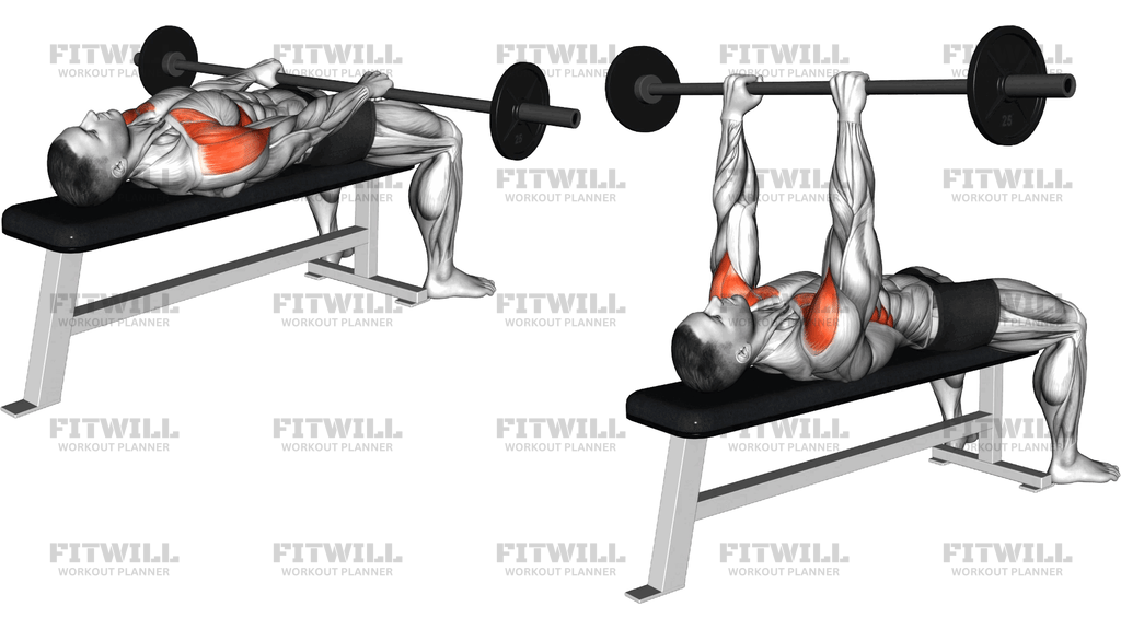 Barbell Lying Front Raise