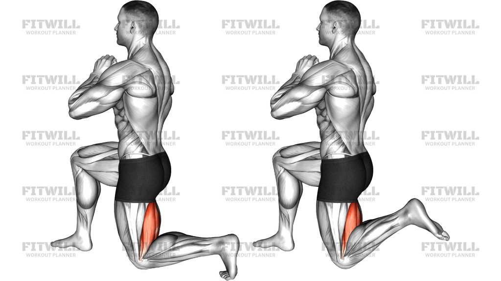 Half Kneeling Hamstrings Stretch