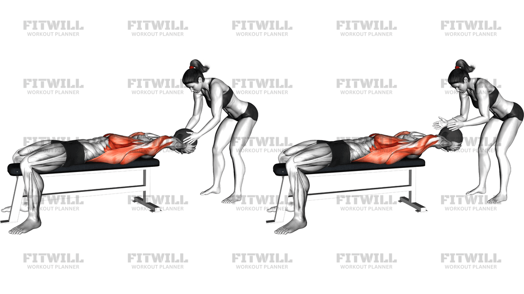 Medicine Ball Pullover Catch