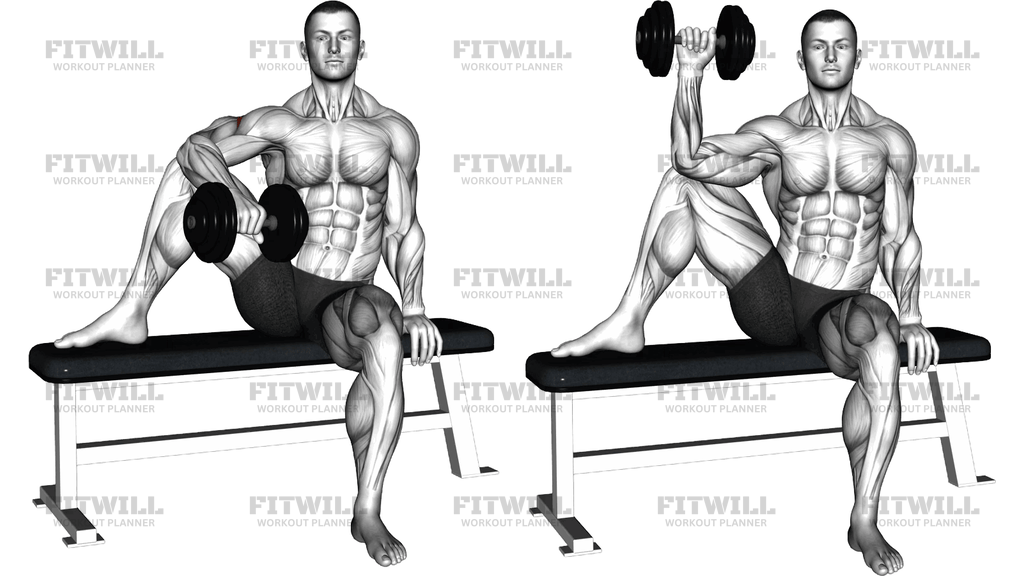Dumbbell Seated Single Arm External Rotation