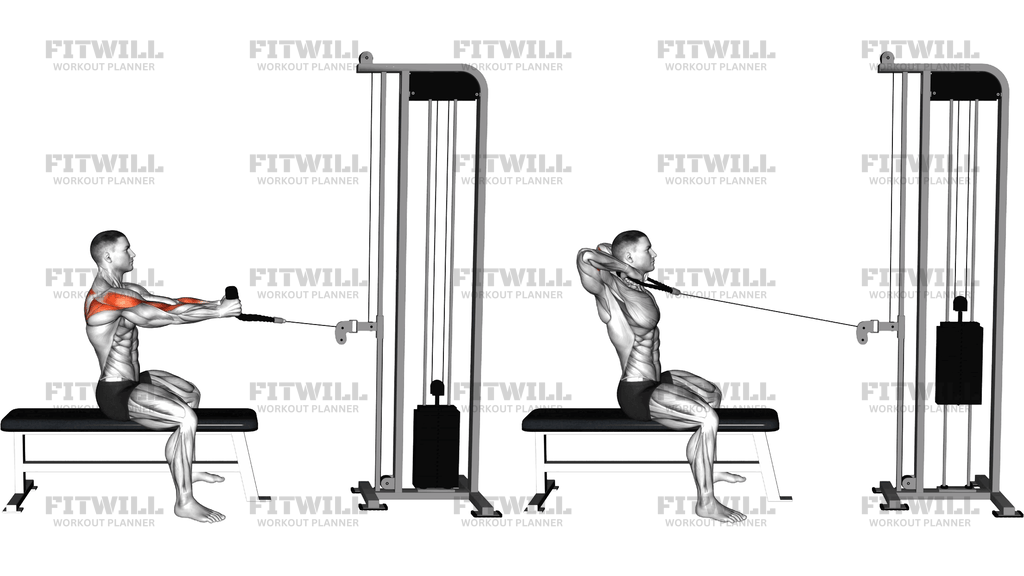 Cable Seated Neutral Grip Row To Neck (Rope Attac)