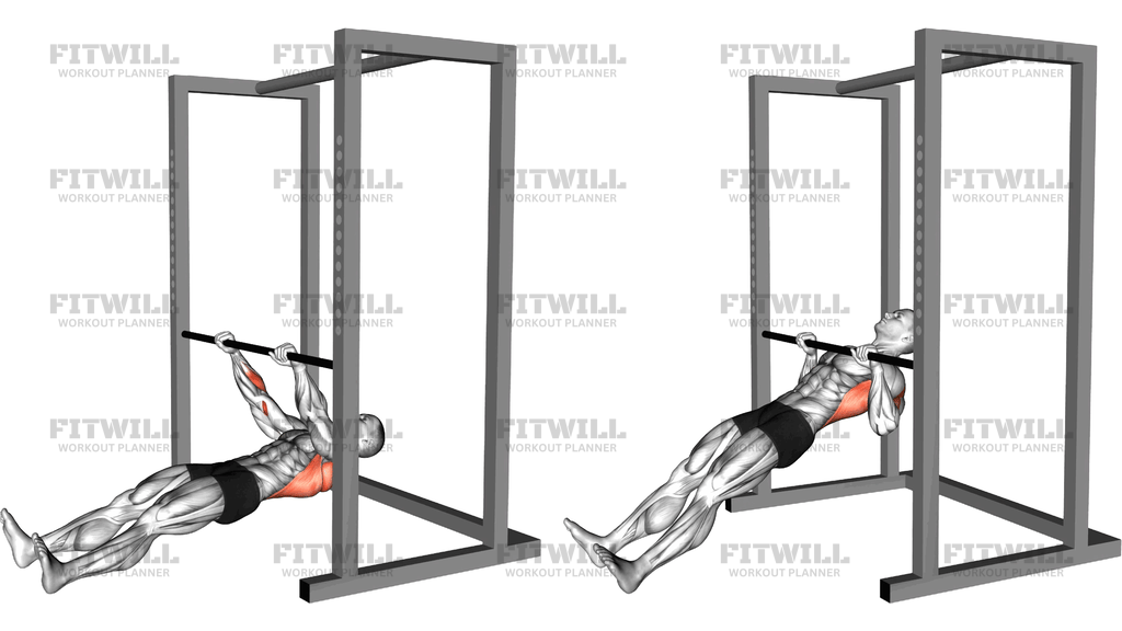 Shoulder Grip Inverted Row