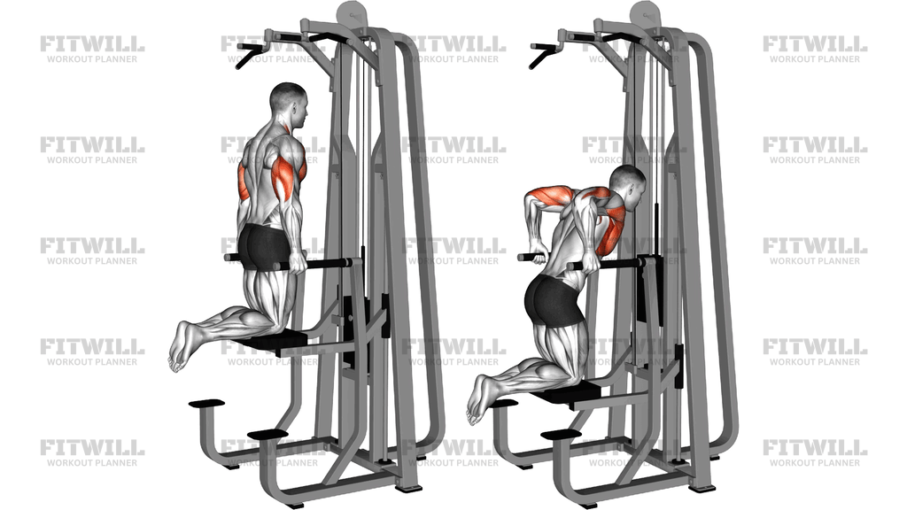Lever Graviton Assisted Dip