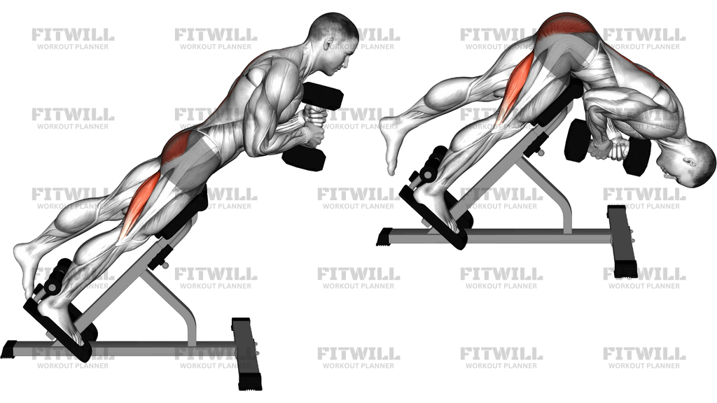 Hyperextension Na Jednej Nodze Z Hantlą