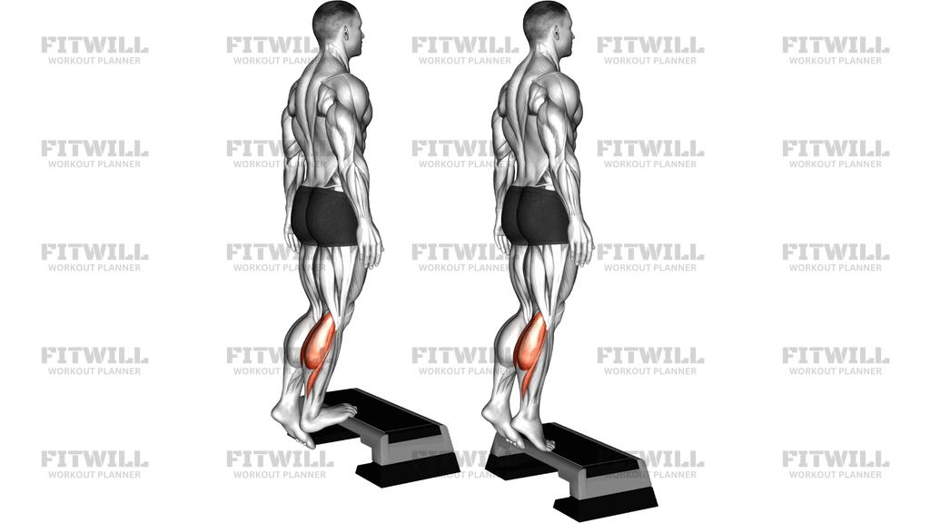 Bodyweight Single Leg Calf Raise On A Stepbox