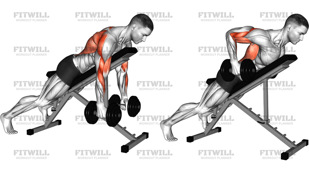Dumbbell Prone Incline Seal Row