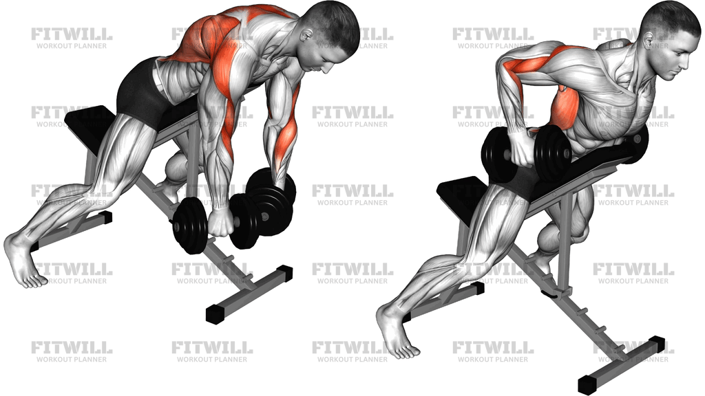 Dumbbell Prone Incline Flexion Row