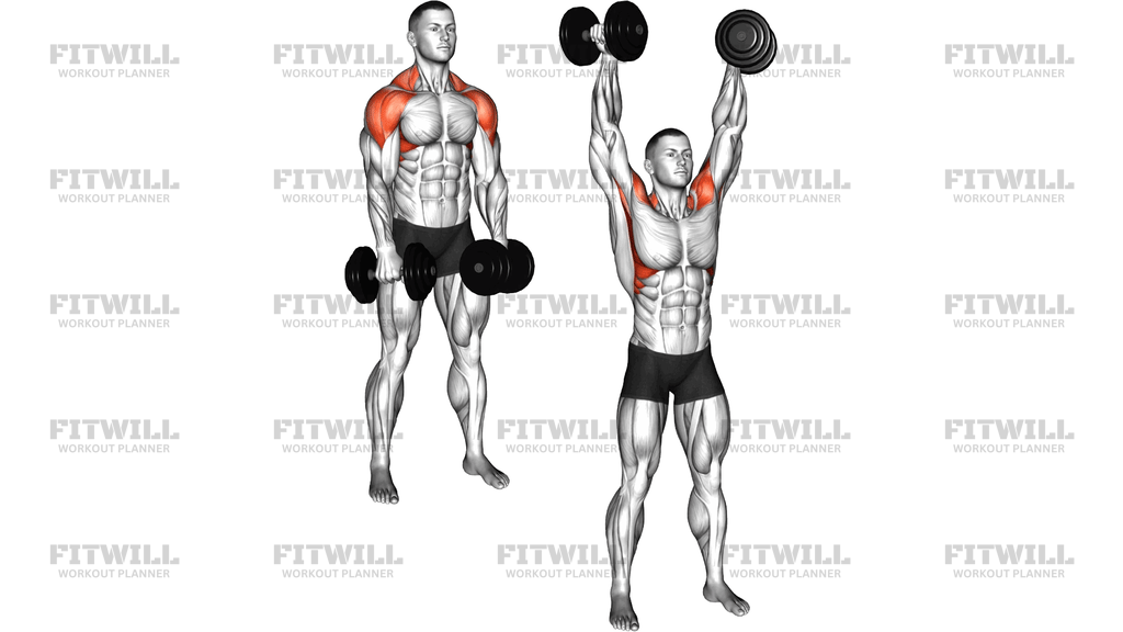 Dumbbell Super Rom Lateral Raise