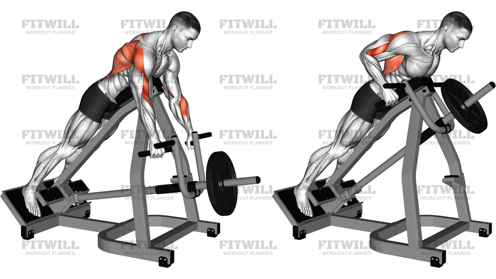 Lever Incline Prone Row