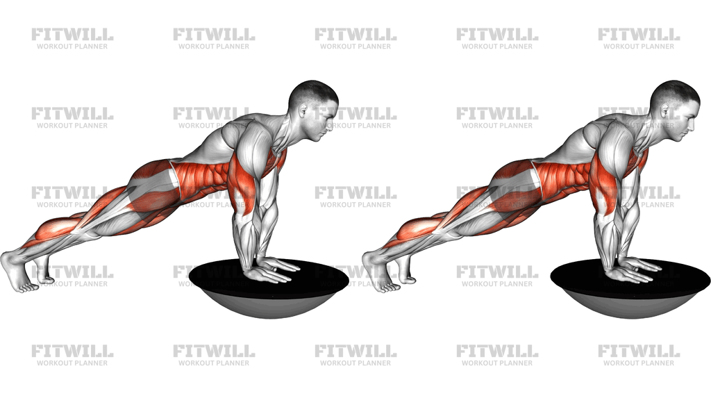 Bosu Ball Plank Hold