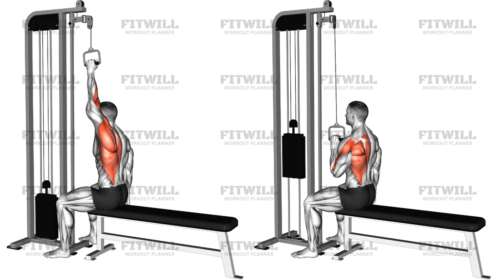 Cable One Arm Neutral Grip Lat Pulldown