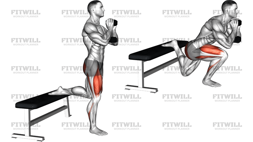 Dumbbell Goblet Glute Dominant Bulgarian Split Sq