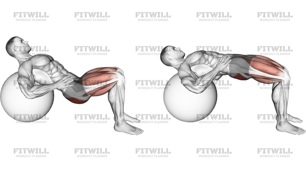 Lying Hip Lift On Stability Ball II