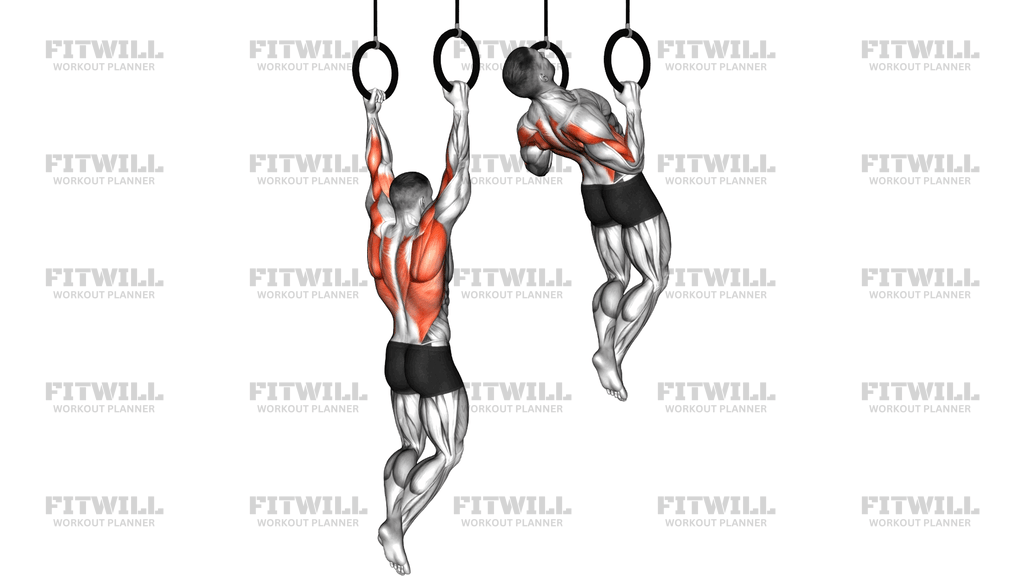Ring Rocky Pull Up Pulldown